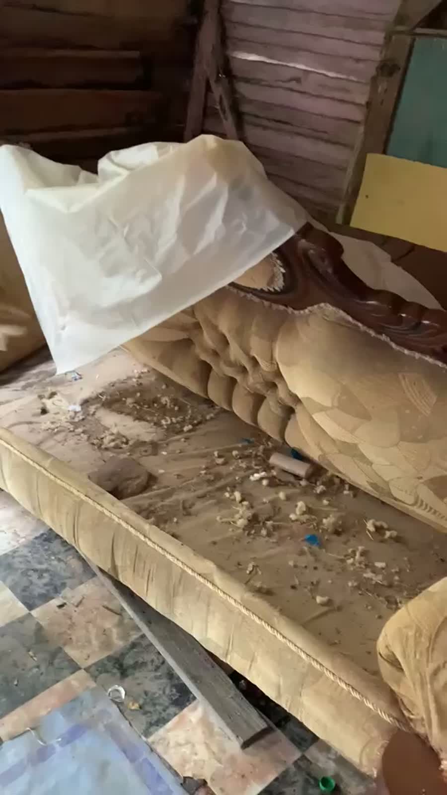 A family with multiple needs and extreme conditions